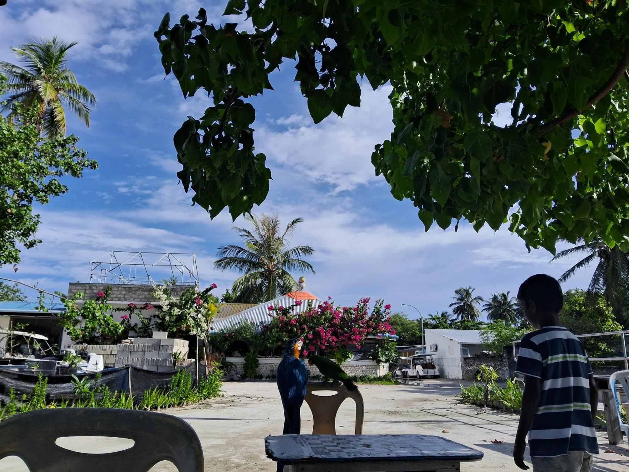 Sky Village Fehendhoo Luaran gambar